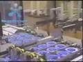 videos de BAPR 1-1D 2008-2009 english commercial 2 food technology
