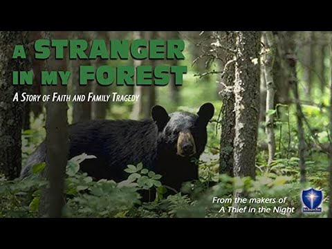 A Stranger In My Forest (1976) | Full Movie | Eddie Moran | Trent Dolan | Susan Backlinie
