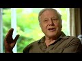 Rare frogs & endangered species - Planet Earth - BBC wildlife Rare frogs & endangered species - Planet Earth - BBC wildlife