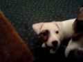 Vidéo0027
