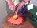 How to attract and feed orioles How to attract and feed orioles