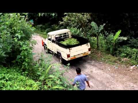 Voir la vidéo Voir la vidéo