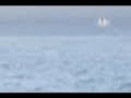 LOCH NESS MONSTER shows up 15/06/2007