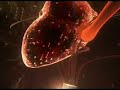 Lifeforce by Andromeda