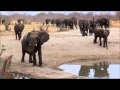 Hwange National Park Zimbabwe - YouTube