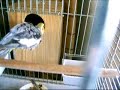 Rannia y Ronny bañandose Rannia y Ronny bañandose