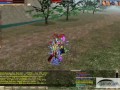 Miayke Now Karus