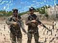 1st FAST Co. Marines training