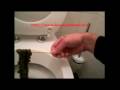 Why Colon Cleanse?
