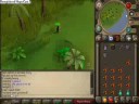 The End of Monkey Maddness
