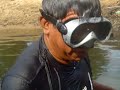 Pescando Royal RED  - Santarem Peixes Tropicais