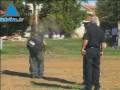 videos de Infolive.Tv- Une roquette Kassam s'abat sur un terrain vague