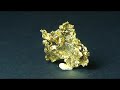 This beautiful specimen of crystalline gold will be up for auction on Trinity Minerals.com starting on Tuesday Nov. 18th, from Andrei Rykoff of AA Rockshop.com  Enjoy!