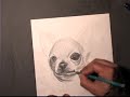 Nikko Hurtado 03