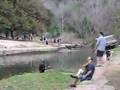austin wakebording