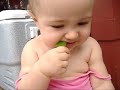 baby eats a lime!
