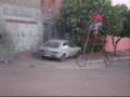 A Maior Bicicleta de mato grosso