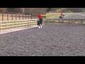 videos de Zing - Part 2
