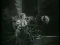 The Phantom of the Opera (Part 8) 1925