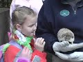 Hedgehog Day At The Oregon Zoo
