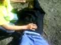 Accident de voiture grave