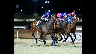 Made in America wins Forego Stakes