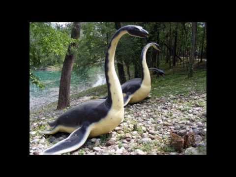 Mostro - un mostro nel lago di Garda. si moltiplicano gli avvistamenti mistero 23/01/2013.