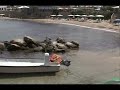 Caesarea Caesarea