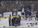 Brawl