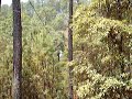 tirolesa.html