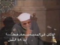 تفسير سورة النمل – الحلقة 7 – الشعراوي