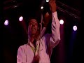 Taraf De Haidouks - Joc
