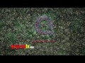 subscribe http://bit.ly/mrsda2 qvc red carpet style oscars 2013 playlist http://www.youtube.com/playlist?list=plrz1qgrymny0njcct5jdu8ghw-mbaqiym http://www.m...