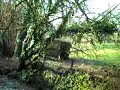 Chalford Walk  Feb 2008 (Part 1)