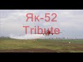 Як-52 Abkhazia Tribute