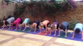 Yoga Retreat Cha Cha Slide Plank Challenge