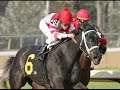 kentucky-derby-eight-belles-tragedy.html