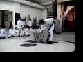 Shaolin Wingchun NamAnh Kungfu - Qigong