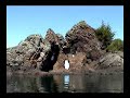 the devil's chair video is part of the great lake superior dvd 