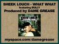 Sheek Louch - What What feat. Bully