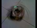 videos de Robot Tlahuicole_2