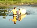 Aran in het water