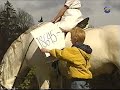 Sunes jul Video