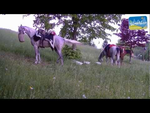 Image de prévisualisation YouTube