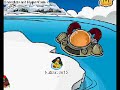 Club Penguin- All Star Club Penguin- All Star