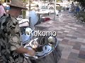 a bunch of popular reggae and calypso songs played at different events