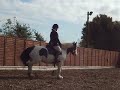 wtde861 Interdressage Sep 08