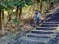freeride, afdaling bult emmen