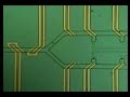 post thumbnail