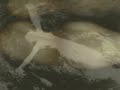 Easy - Tracey Thorn (Out of the Woods)